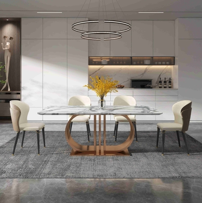 SUS Meubilair van de 12 Moderne Eettafelseetkamer van de Voet het Lichte Luxe