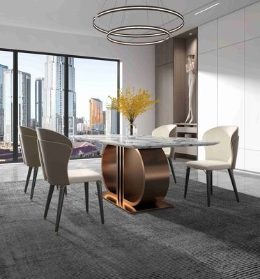SUS Meubilair van de 12 Moderne Eettafelseetkamer van de Voet het Lichte Luxe